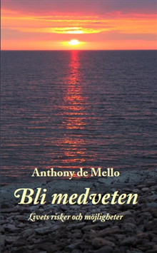 Bli medveten : livets risker och möjligheter